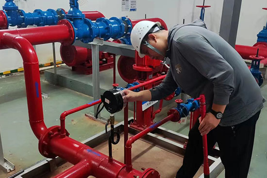 好色先生下载观看檢測